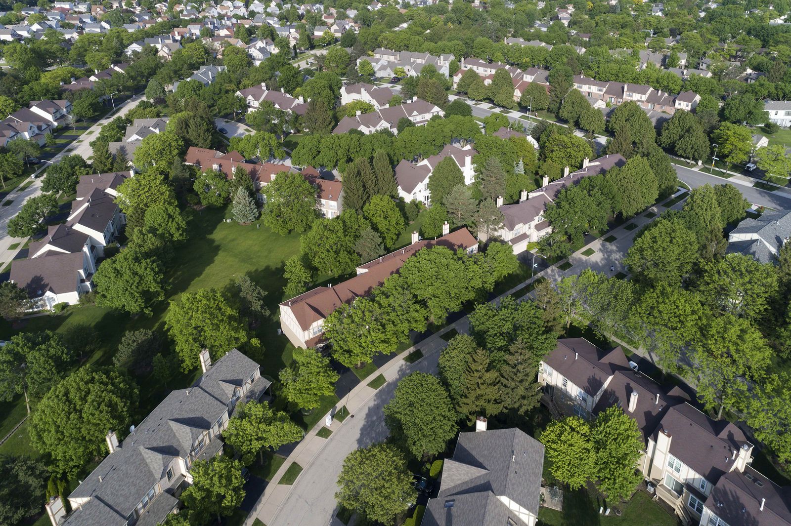 Aerial view of a row of townhomes with brown shingle roofs among mature trees
